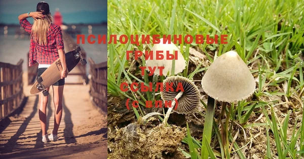 синтетический гашиш Абаза