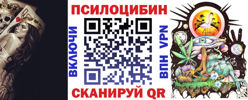 где можно купить   Избербаш  Галлюциногенные грибы Cubensis 