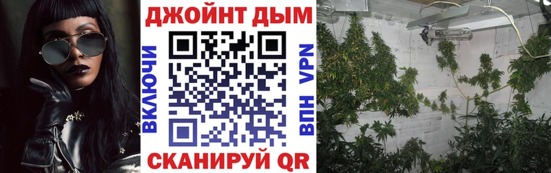 купить наркоту  Избербаш  Шишки марихуана семена 